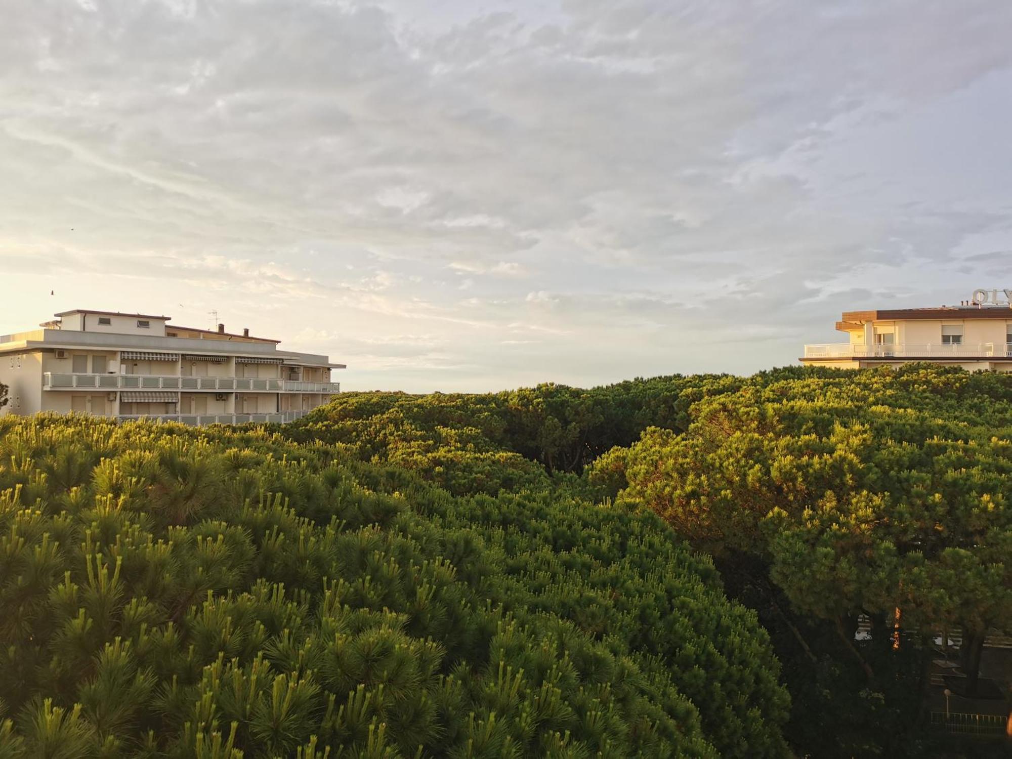 Hotel Pine Beach Rosolina Mare Exterior photo